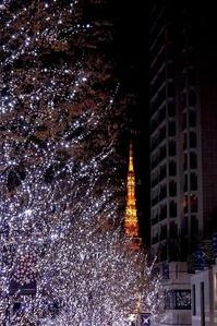 IMG_3008のコピー