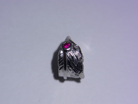 RIMG0276