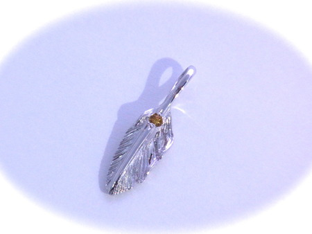 RIMG0254