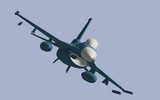 f164