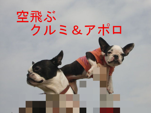 BlogPaint