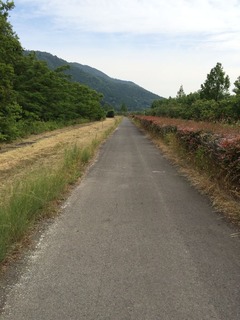 IMG_3985