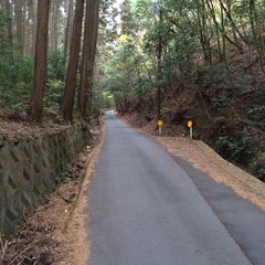 写真 2014-11-23 10 01 13