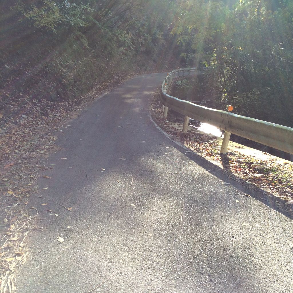写真 2014-11-23 14 15 36