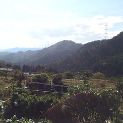 写真 2014-11-23 10 40 35