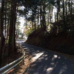 写真 2014-11-23 10 51 10