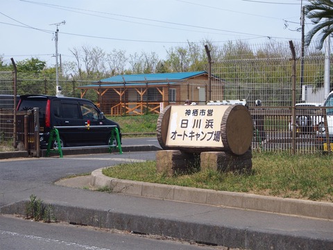 P5030005
