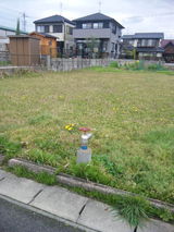 aa