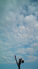 3e926238.jpg