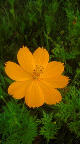 20100903163740