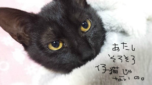 BlogPaint