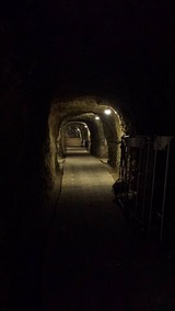 20131110_110137