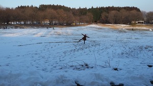 20160131_160330