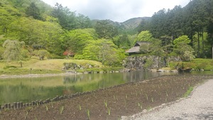古峰ヶ原 (3)