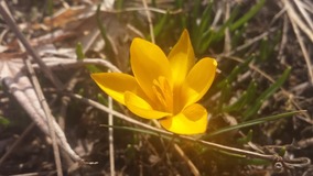 20140228_133356_4