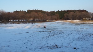 20160131_160349