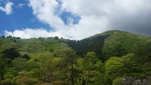 古峰ヶ原 (4)