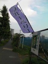 SANY0054