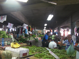 SANY0031