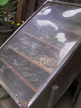 SANY0087