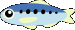 iwashi