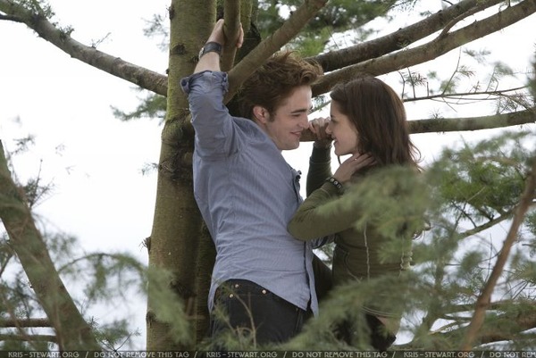twilight-still018