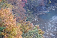 09-10-31_07-39-47