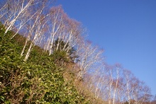 09-11-01_08-22-39