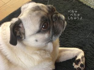 ぽっき2