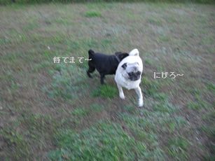 ラン5