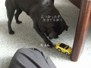 ミニカー4