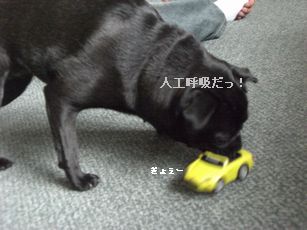 ミニカー5