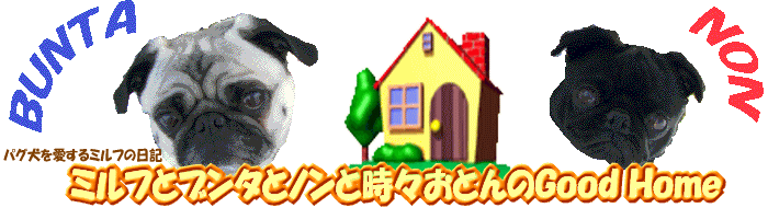 ミルフとブンタとノンと時々おとんのGood Home