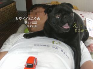 小春2