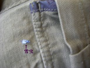 秋14