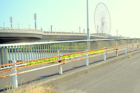 1-DSC_1944-002