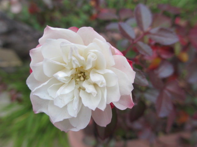 011