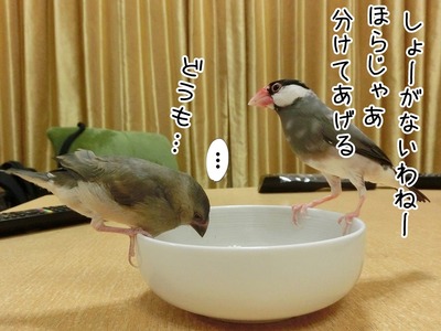 s-CIMG8658