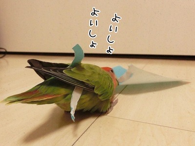 s-s-CIMG5000