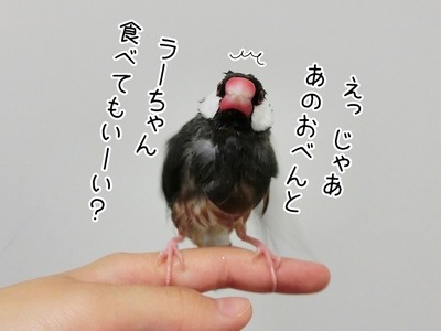 s-CIMG8694