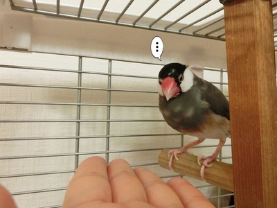 s-CIMG8677