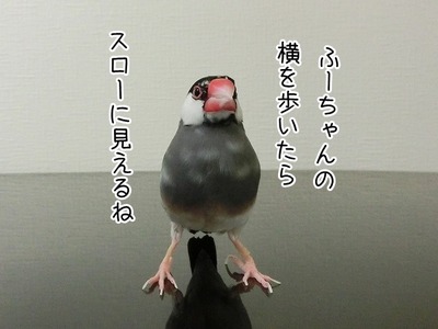 s-CIMG8086