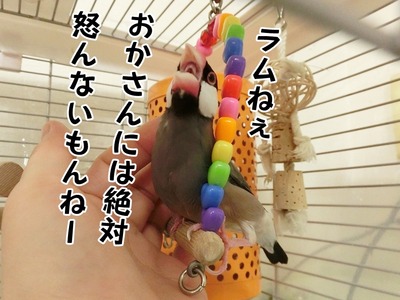 s-CIMG6944