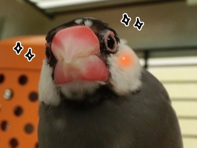 s-CIMG5555