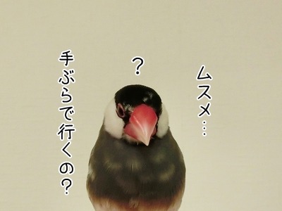 s-CIMG8682