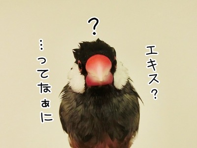 s-CIMG5863