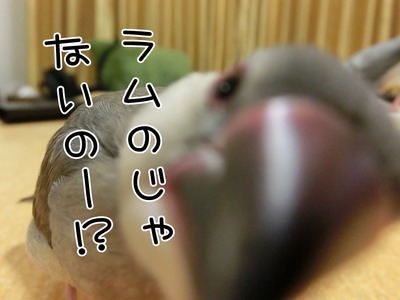 s-CIMG8651