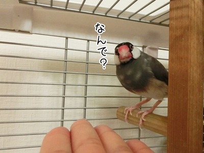 s-CIMG8671