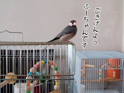 s-IMG_0051