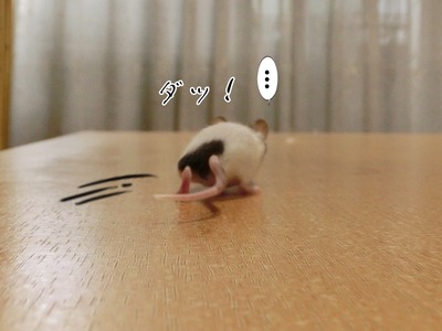 s-CIMG4582
